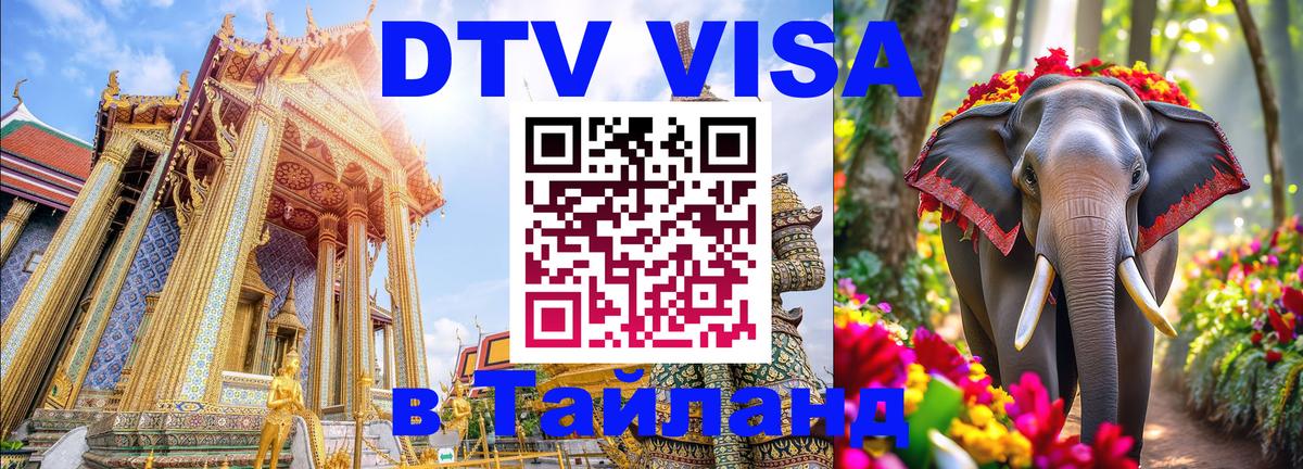 Сколько стоит DTV виза — актуальные цены, оформление даже без документов - 